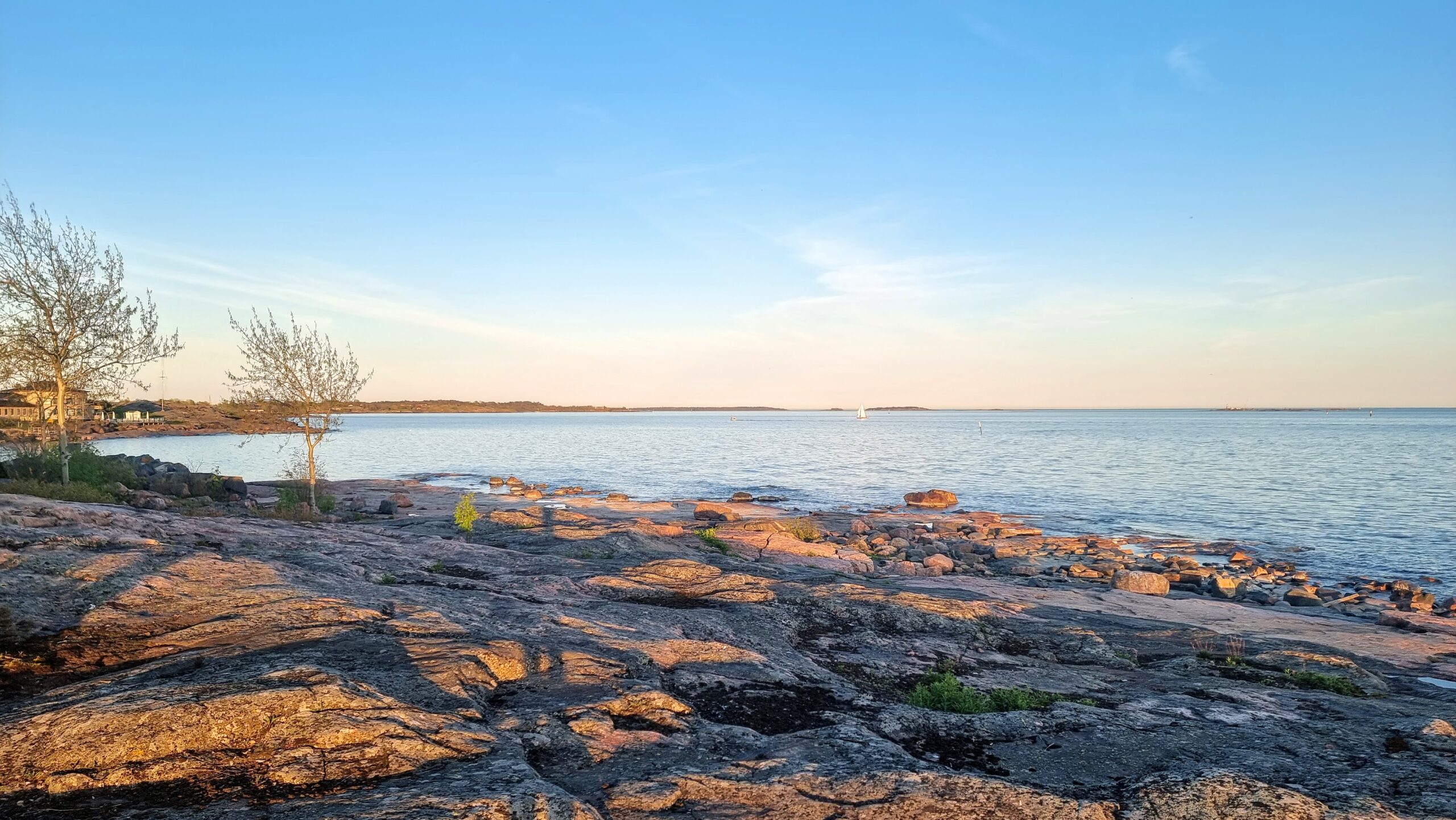 Medical Start-up: Business Plan Finalization for Funding